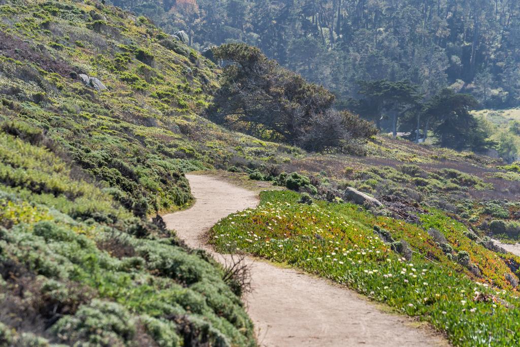 2863 Cuesta Way Carmel, CA 93923 - Photo 58 of 59 a view of a lake with a park