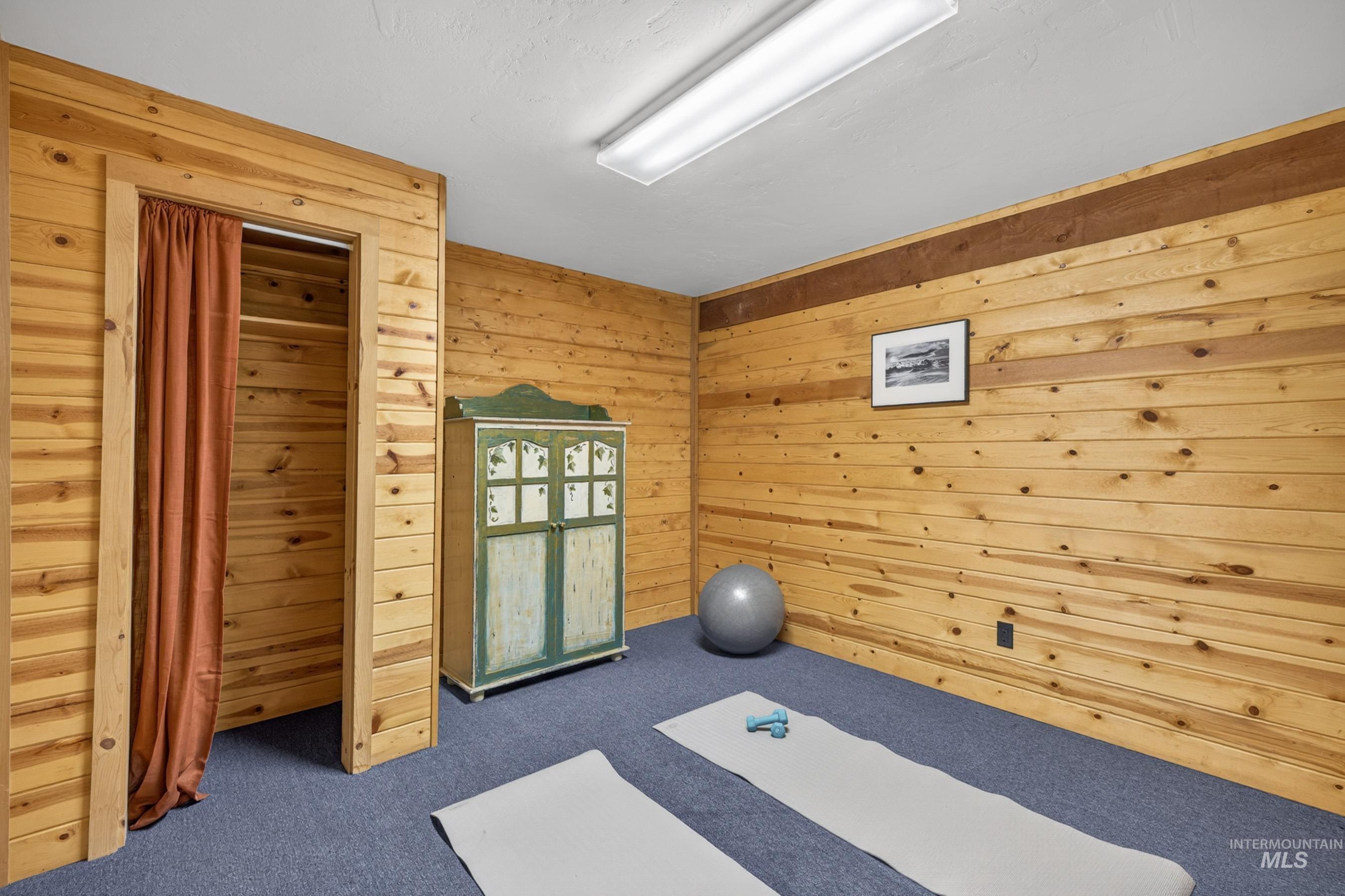 2339 West Mountain Road Donnelly, ID 83615 - Photo 12 of 37 Room featuring paneled wood walls, blue carpet flooring, a built-in fluorescent ceiling light fixture, and an open closet with a rust-colored curtain