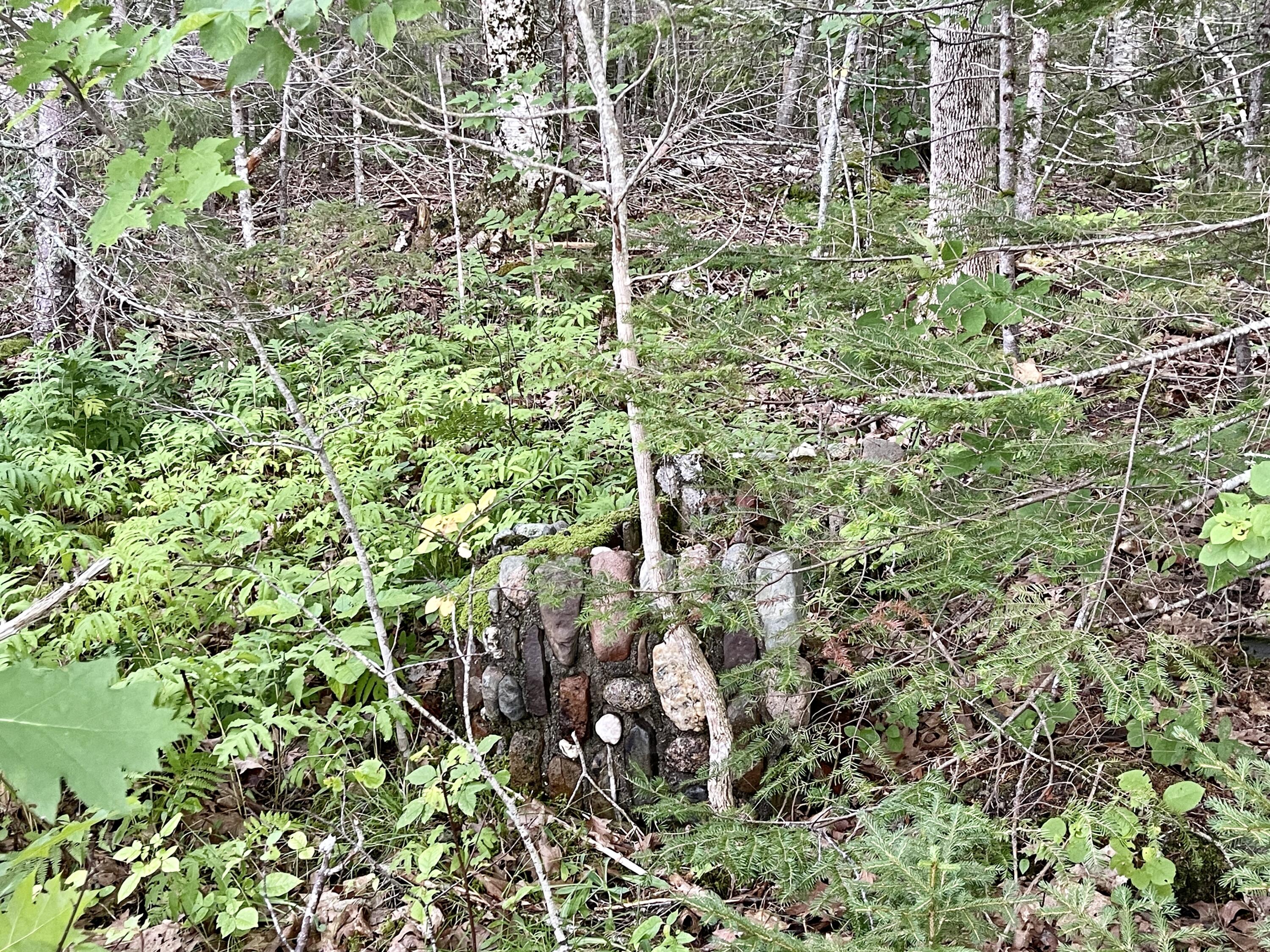 0 Ridge Road Robbinston, ME 04671 - Photo 21 of 35 IMG_7664