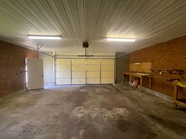 a view of a field with a tree