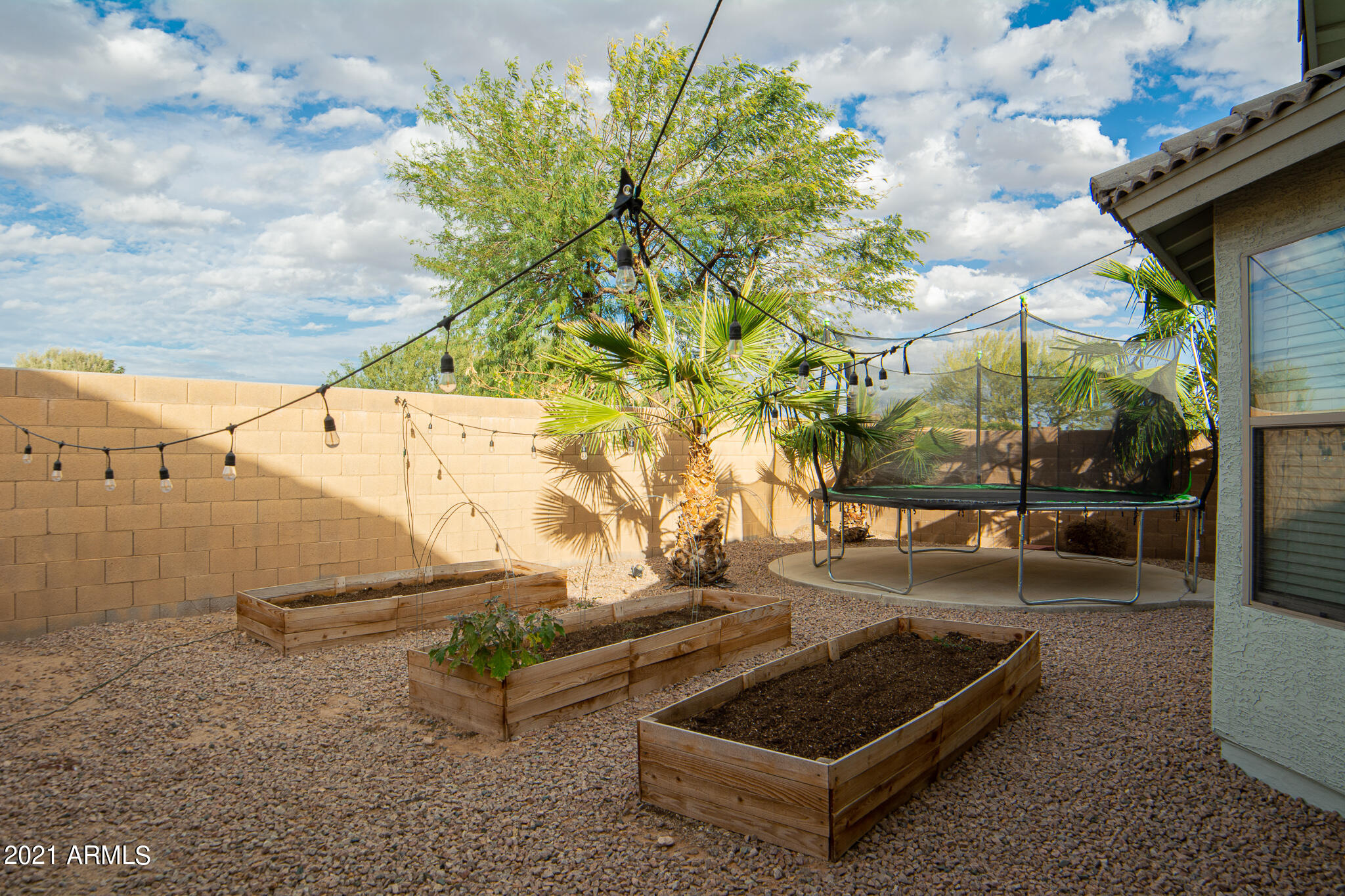 44830 West Zion Road Maricopa, AZ 85139 - Photo 14 of 18 Backyard 1