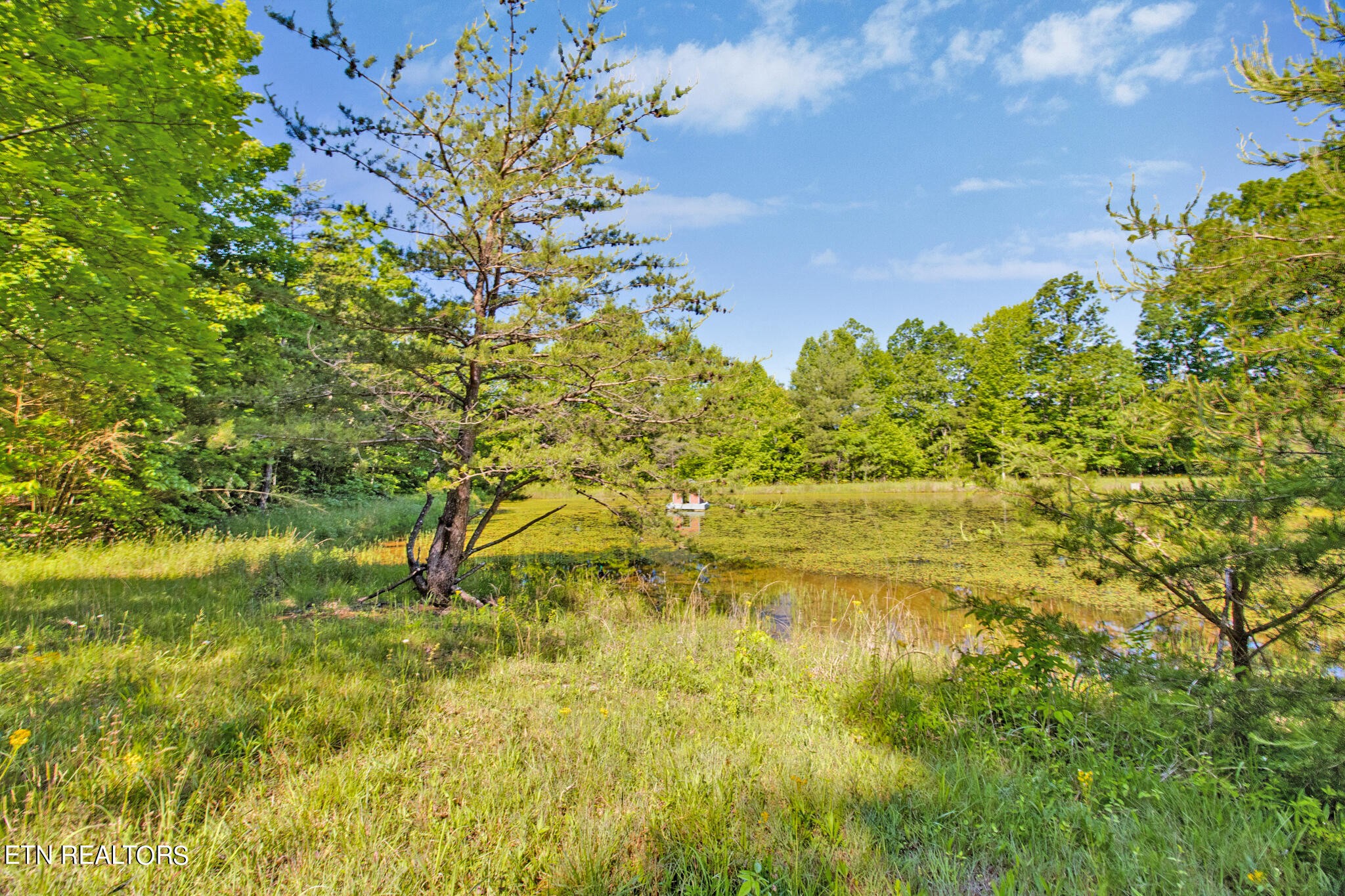 312 Payne Road Sunbright, TN 37872 - Photo 12 of 57 Gallery Image 12