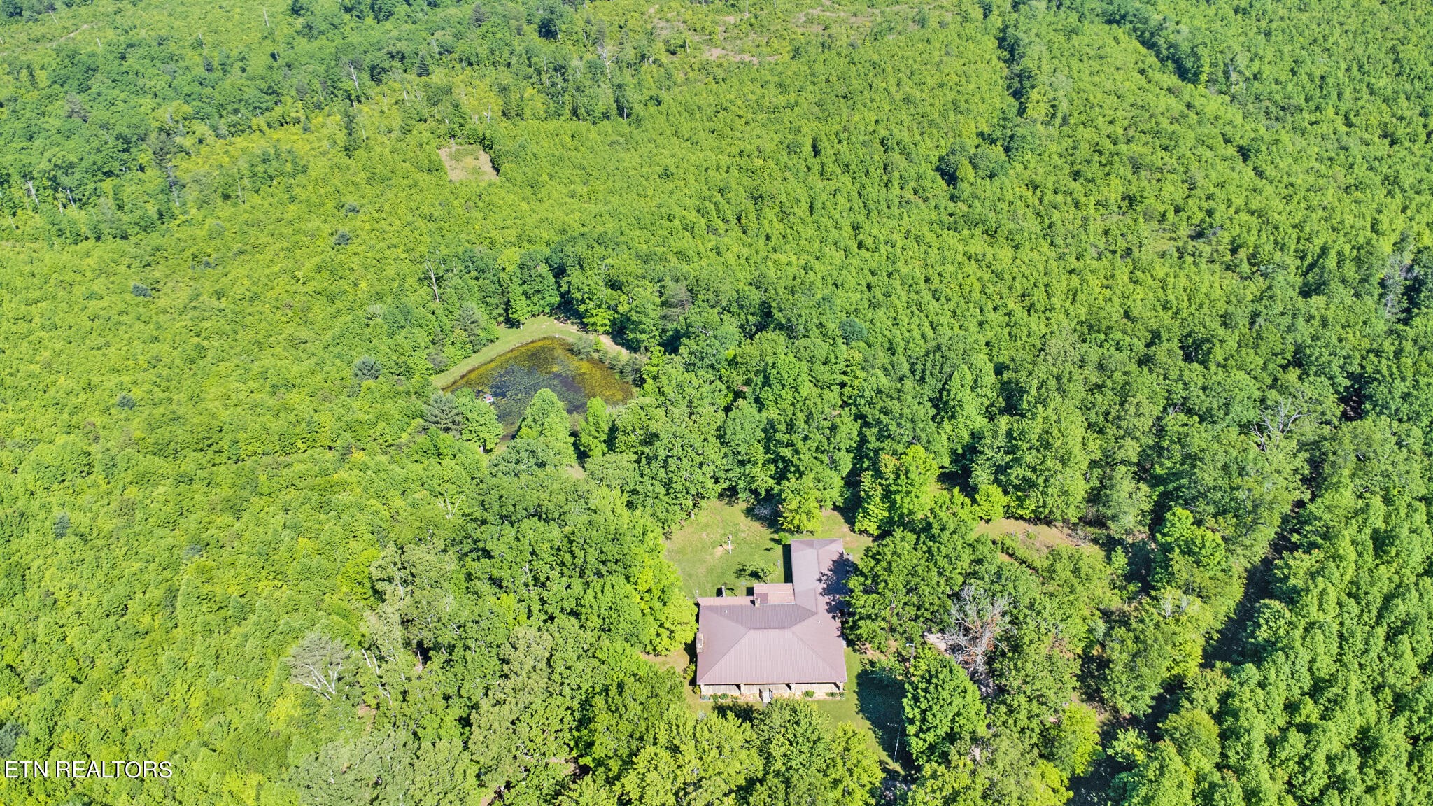 312 Payne Road Sunbright, TN 37872 - Photo 51 of 57 Gallery Image 51
