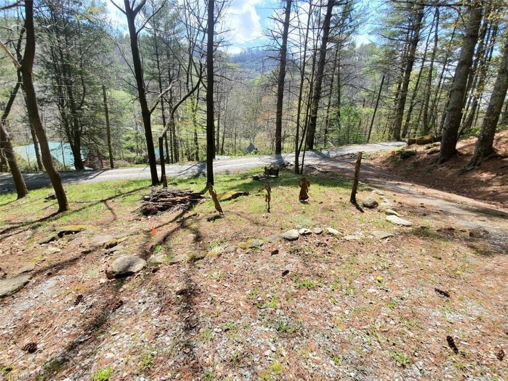 891 Alpine Acres Road Vilas, NC 28692 - Photo 11 of 24 Gallery Image 11