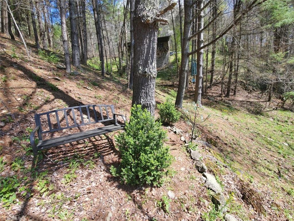 891 Alpine Acres Road Vilas, NC 28692 - Photo 12 of 24 Gallery Image 12