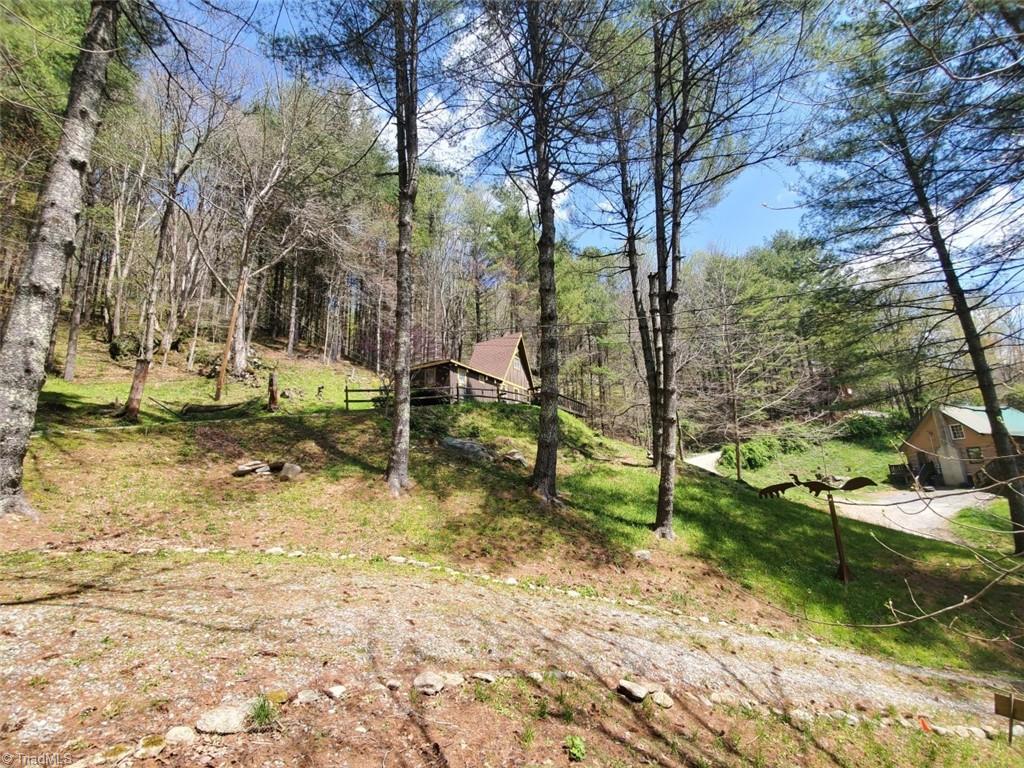 891 Alpine Acres Road Vilas, NC 28692 - Photo 14 of 24 Gallery Image 14