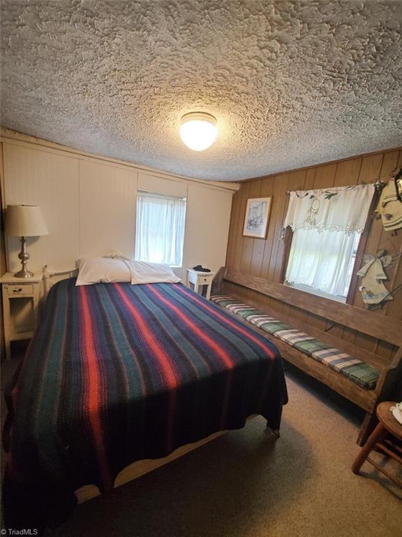 891 Alpine Acres Road Vilas, NC 28692 - Photo 21 of 24 Gallery Image 21
