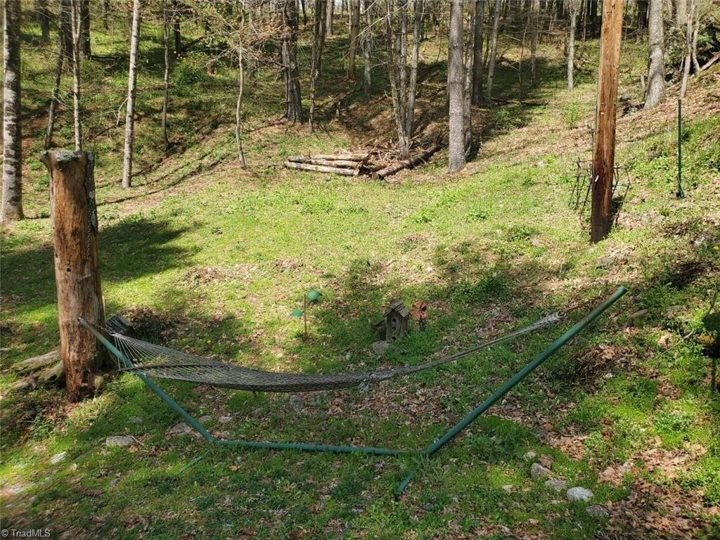 891 Alpine Acres Road Vilas, NC 28692 - Photo 10 of 24 Gallery Image 10