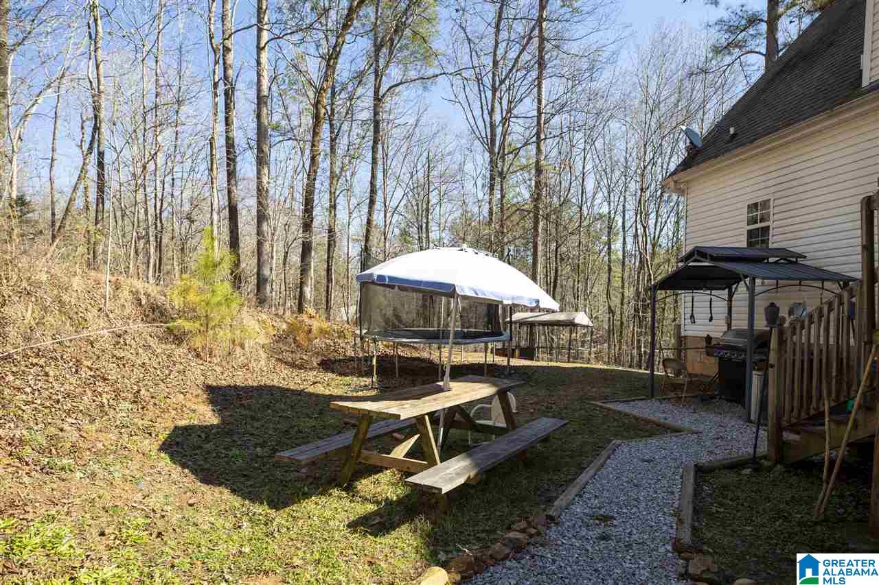 167 Sequoyah Road Pell City, AL 35128 - Photo 7 of 43