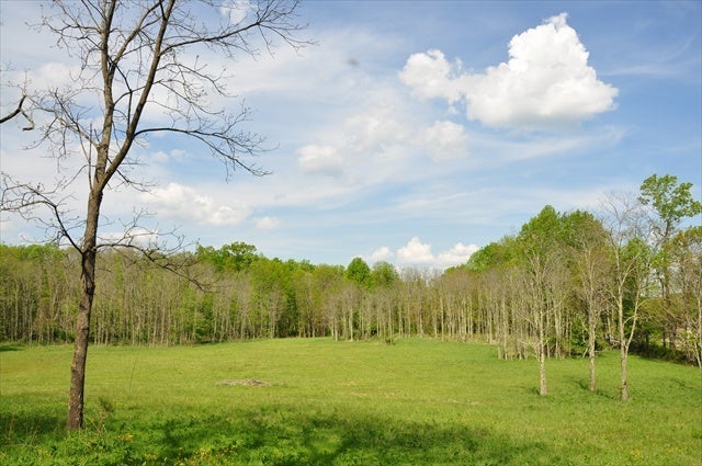 100 Chestnut Flats Road Rainelle, WV 25962 - Photo 8 of 33 Tater Hill