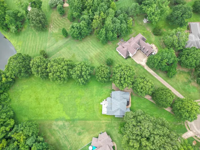 a view of a garden with plants and large trees