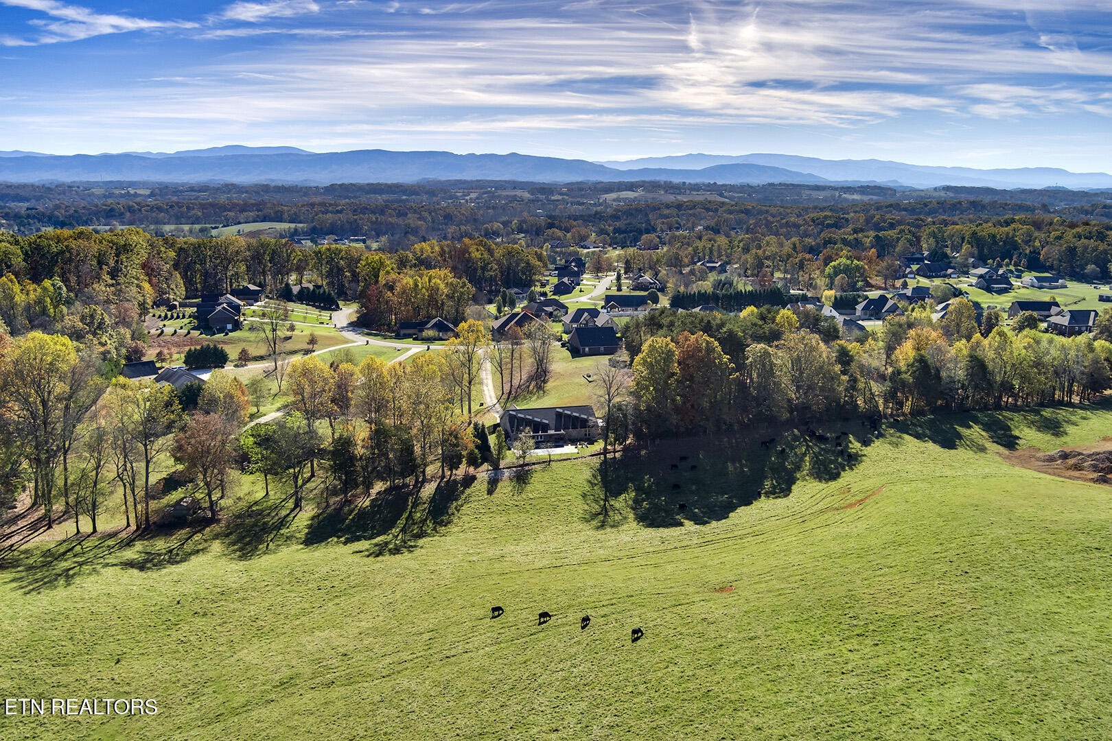 1239 Houston Springs Road Greenback, TN 37742 - Photo 54 of 58 Gallery Image 54