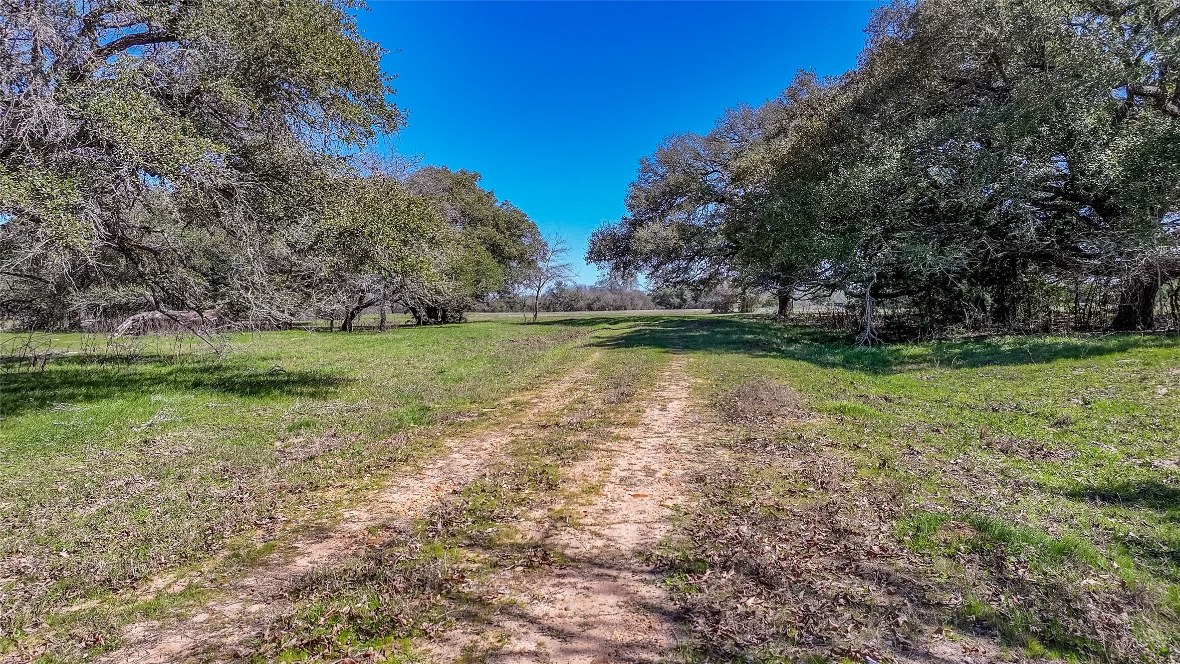 3817 Fm 154 Road Muldoon, TX 78949 - Photo 15 of 27 View of road with a rural view