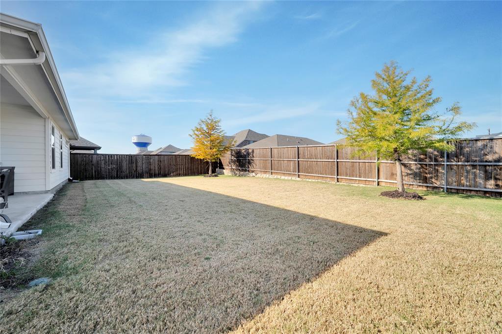 1817 Berry Rdg Trail Aubrey, TX 76227 - Photo 24 of 30 a view of a backyard