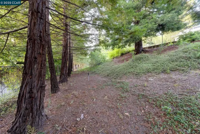 $2,390,000 | 9 Irvine Drive, Moraga, CA 94556