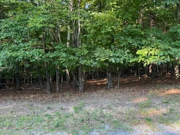 $49,950 | Lot 22 Woodshire Drive, Blue Ridge, VA 24064