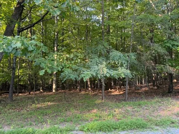 $49,950 | Lot 22 Woodshire Drive, Blue Ridge, VA 24064