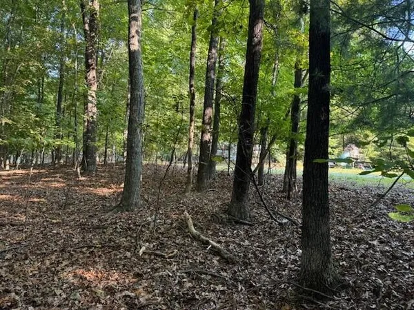 $49,950 | Lot 22 Woodshire Drive, Blue Ridge, VA 24064