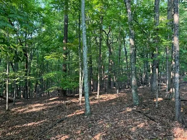 $49,950 | Lot 22 Woodshire Drive, Blue Ridge, VA 24064
