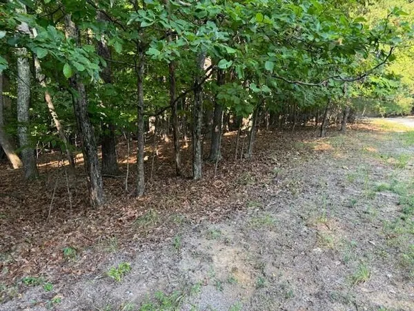 $49,950 | Lot 22 Woodshire Drive, Blue Ridge, VA 24064
