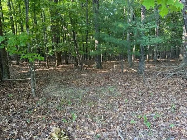 $49,950 | Lot 22 Woodshire Drive, Blue Ridge, VA 24064