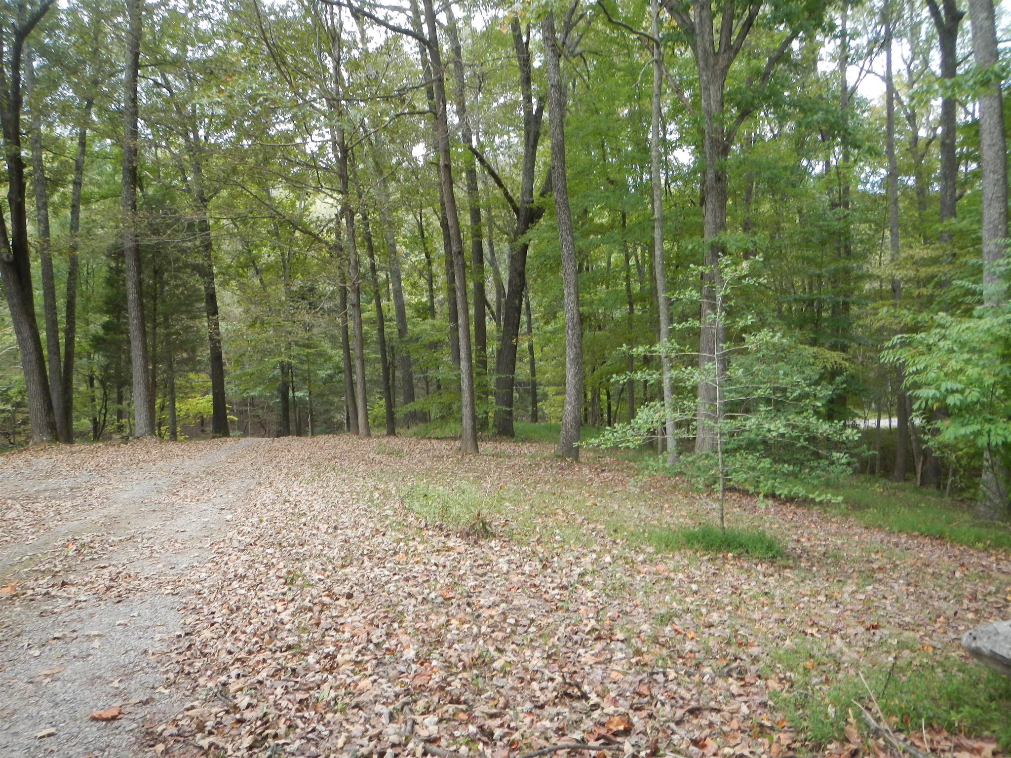 775 Iron Workers Road Clarksville, TN 37043 - Photo 3 of 8 Driveway from house