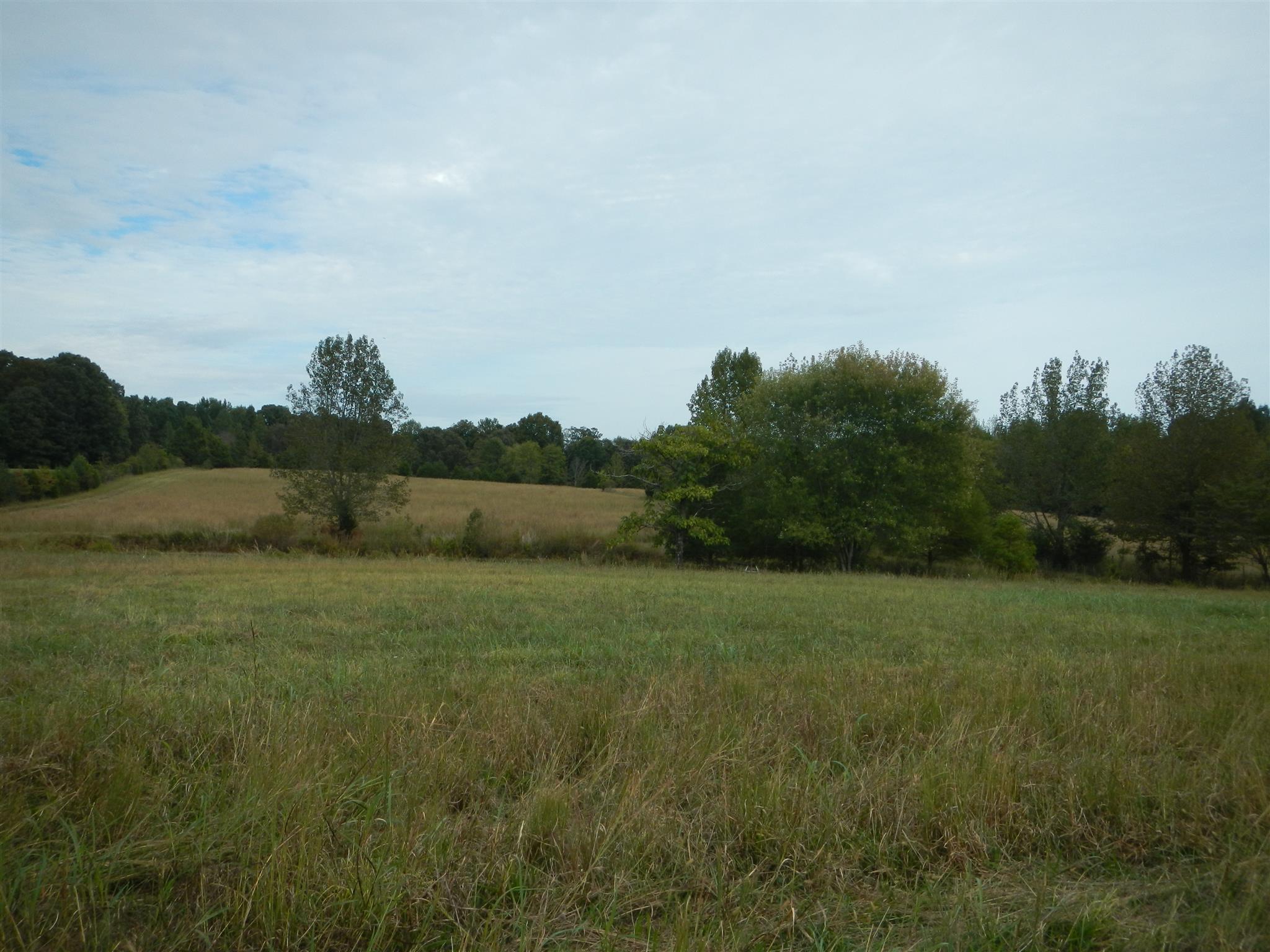 775 Iron Workers Road Clarksville, TN 37043 - Photo 8 of 8 2 ponds in distance