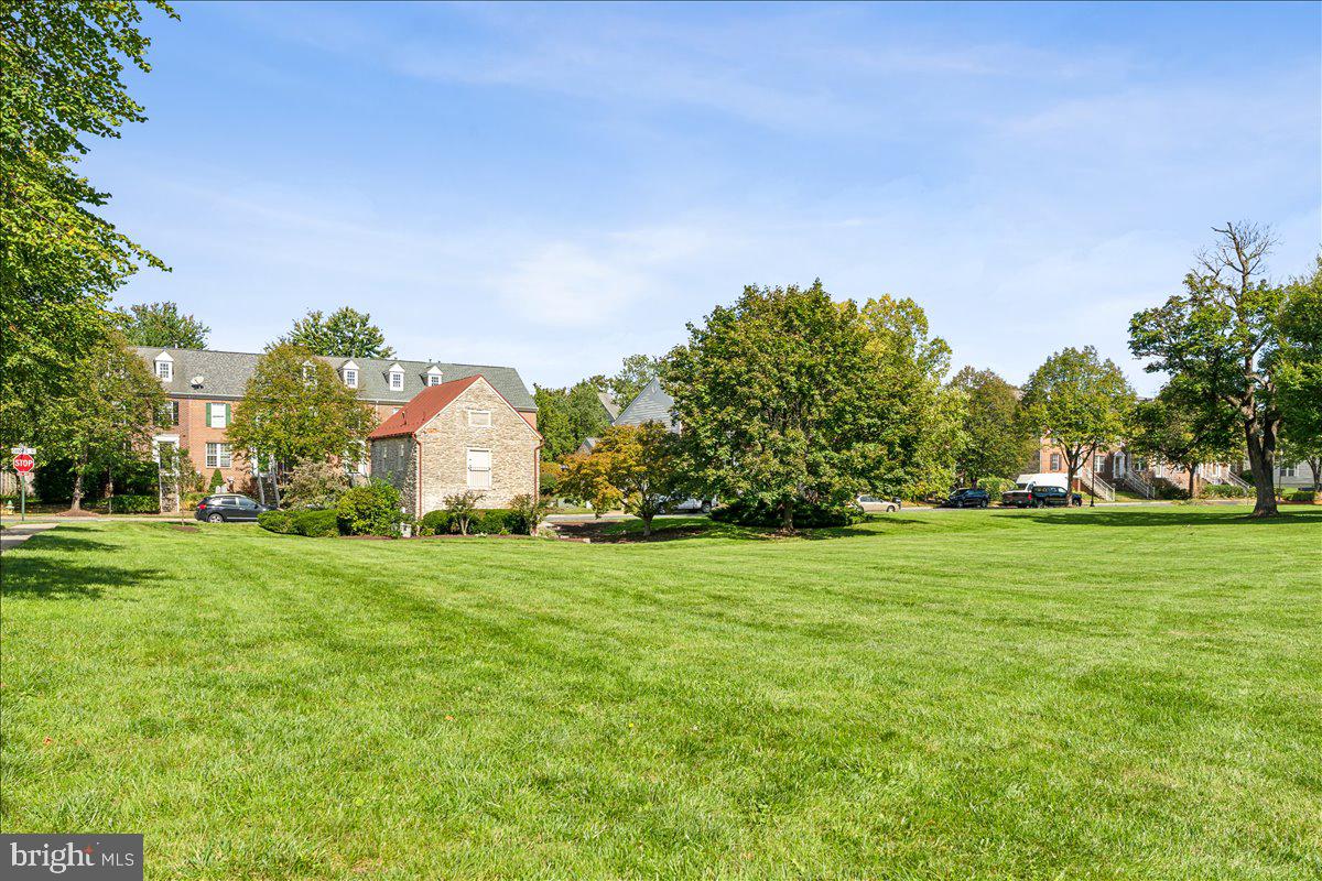 1729 Emory Street Frederick, MD 21701 - Photo 47 of 50 a big yard with lots of green space and trees