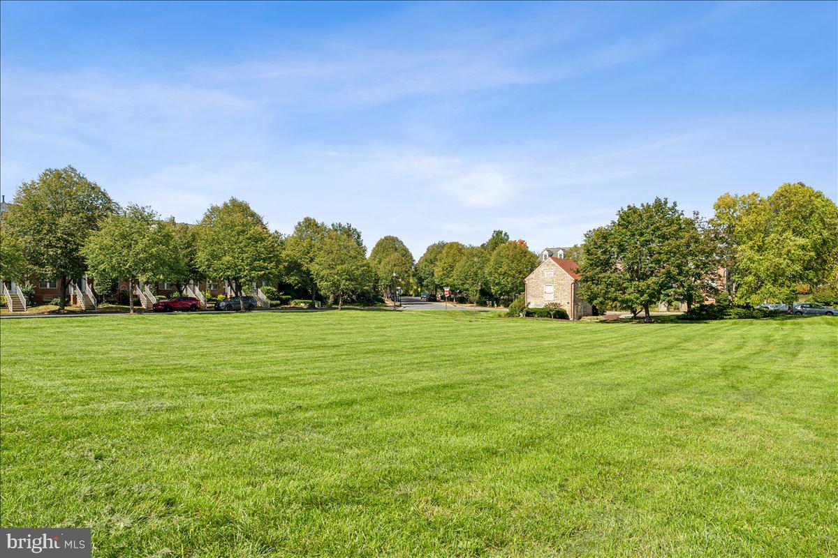 1729 Emory Street Frederick, MD 21701 - Photo 48 of 50 a big yard with lots of green space and trees all around
