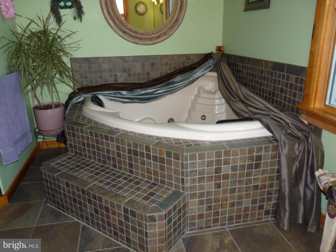 20411 Townsend Road Rohrersville, MD 21779 - Photo 27 of 30 Bath (Master)