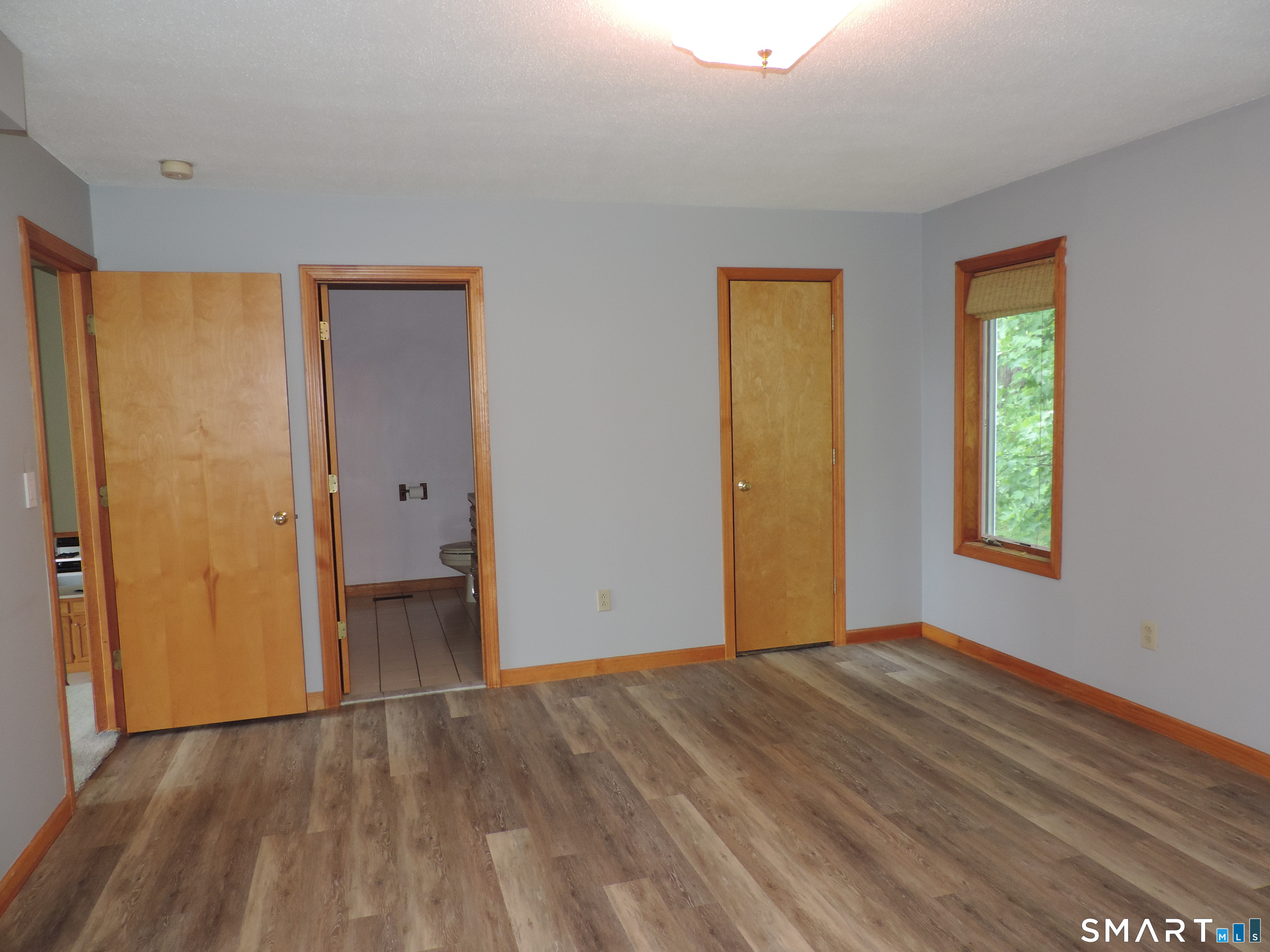 20 Bailey Road East Haddam, CT 06423 - Photo 23 of 37 Primary showing door to bath and walk-in closet.