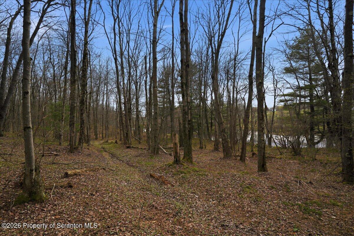1140 Ball Pond Road Thompson, PA 18465 - Photo 18 of 68 a view of outdoor space with trees