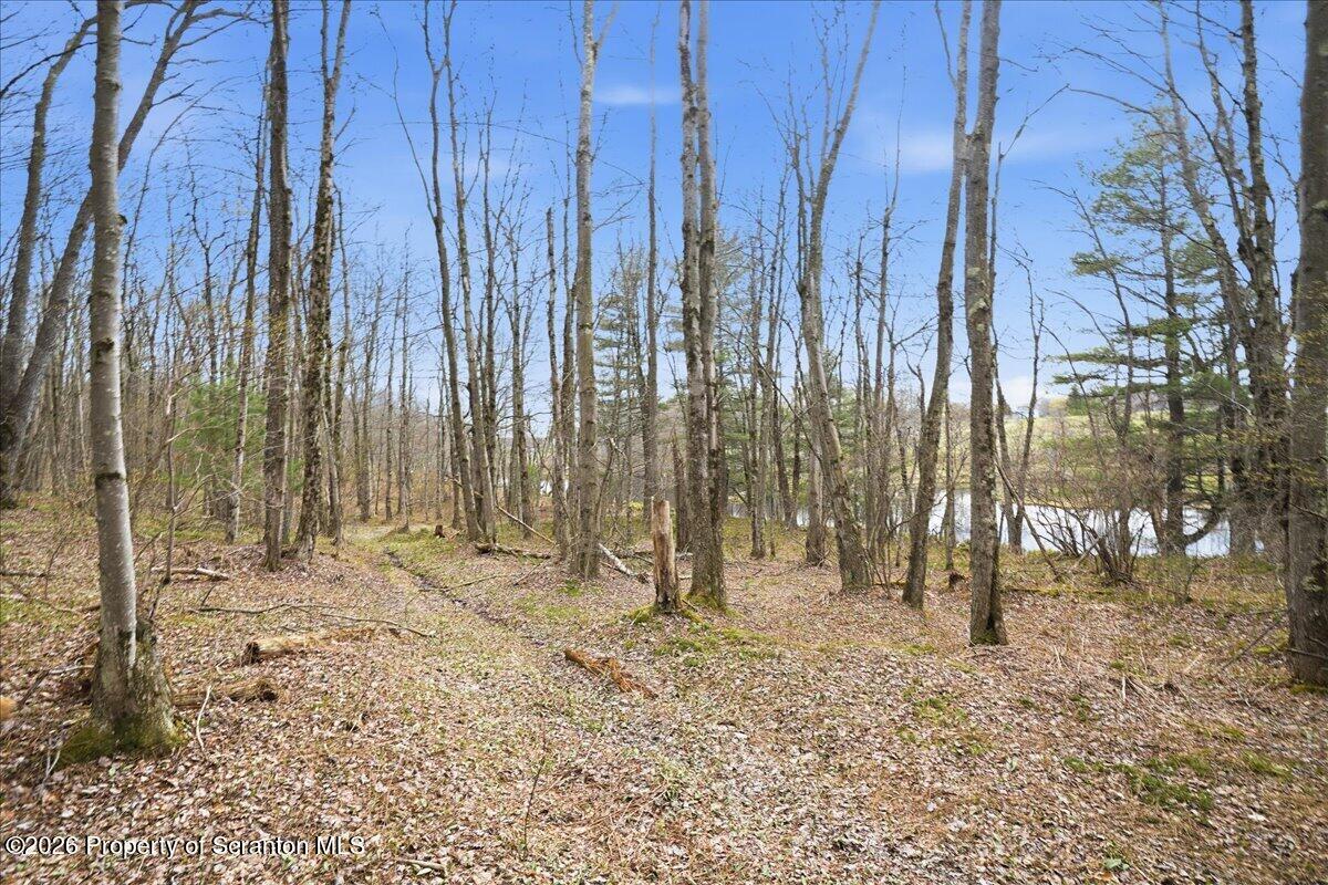1140 Ball Pond Road Thompson, PA 18465 - Photo 19 of 68 a view of wooden fence with trees