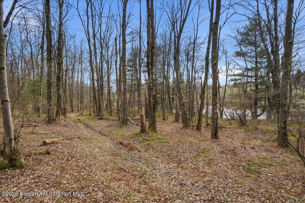 1140 Ball Pond Road Thompson, PA 18465 - Photo 20 of 68 a backyard of a house with lots of green space