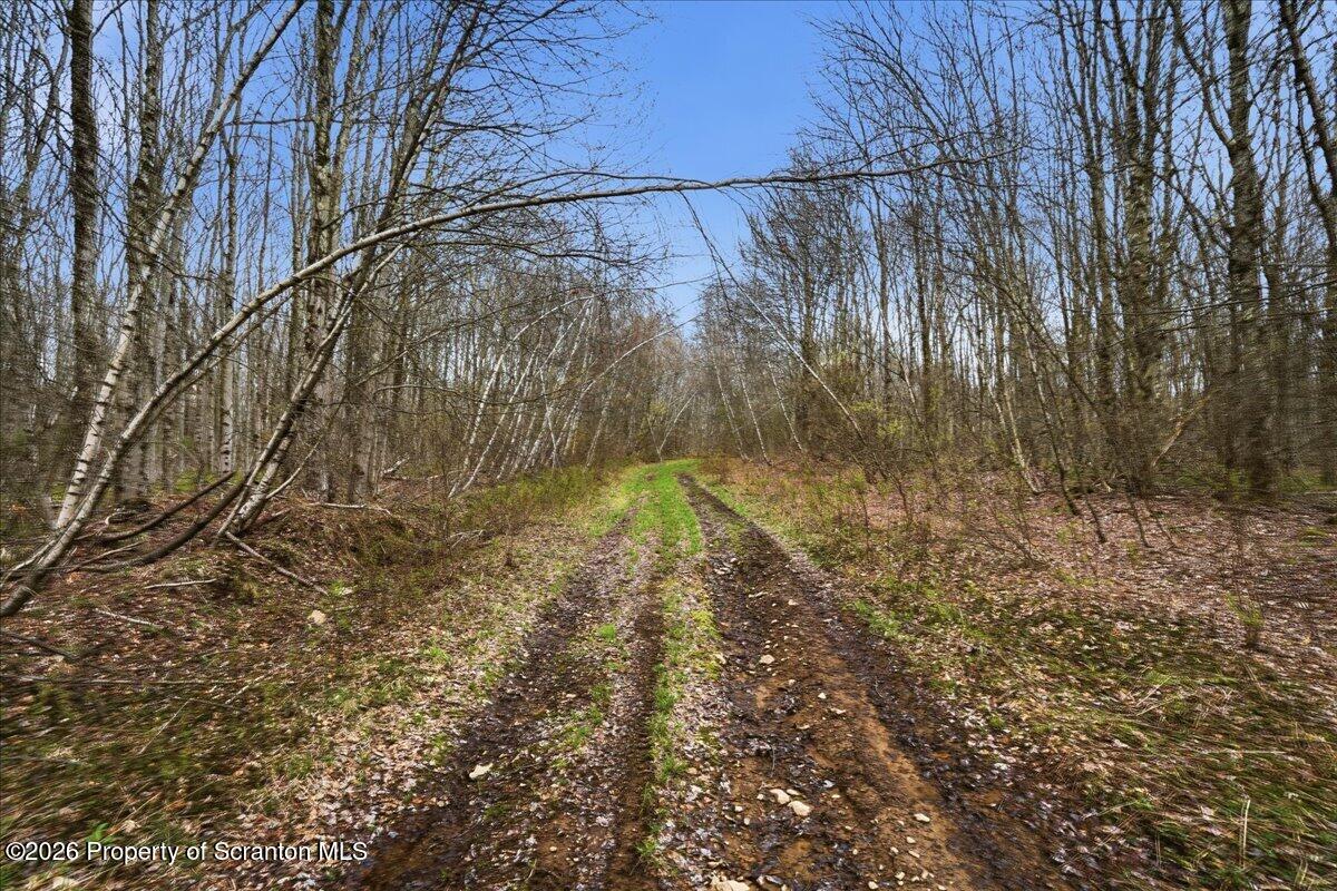 1140 Ball Pond Road Thompson, PA 18465 - Photo 22 of 68 Property