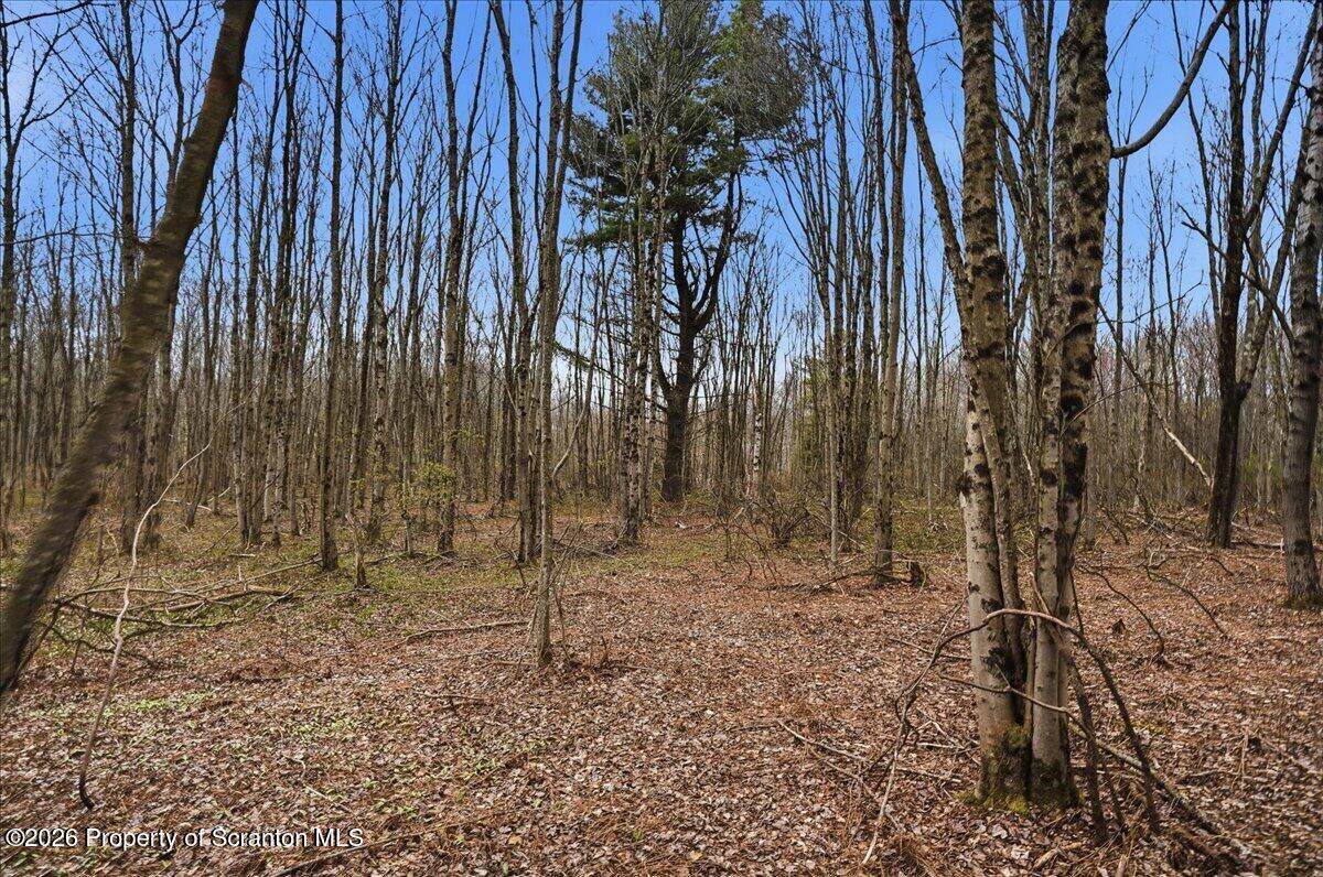 1140 Ball Pond Road Thompson, PA 18465 - Photo 23 of 68 a backyard of a house with lots of green space