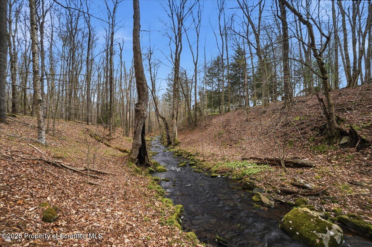 1140 Ball Pond Road Thompson, PA 18465 - Photo 25 of 68 a backyard of a house with lots of green space