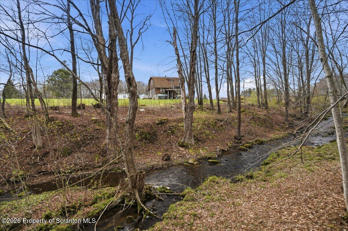 1140 Ball Pond Road Thompson, PA 18465 - Photo 26 of 68 a backyard of a house with lots of green space