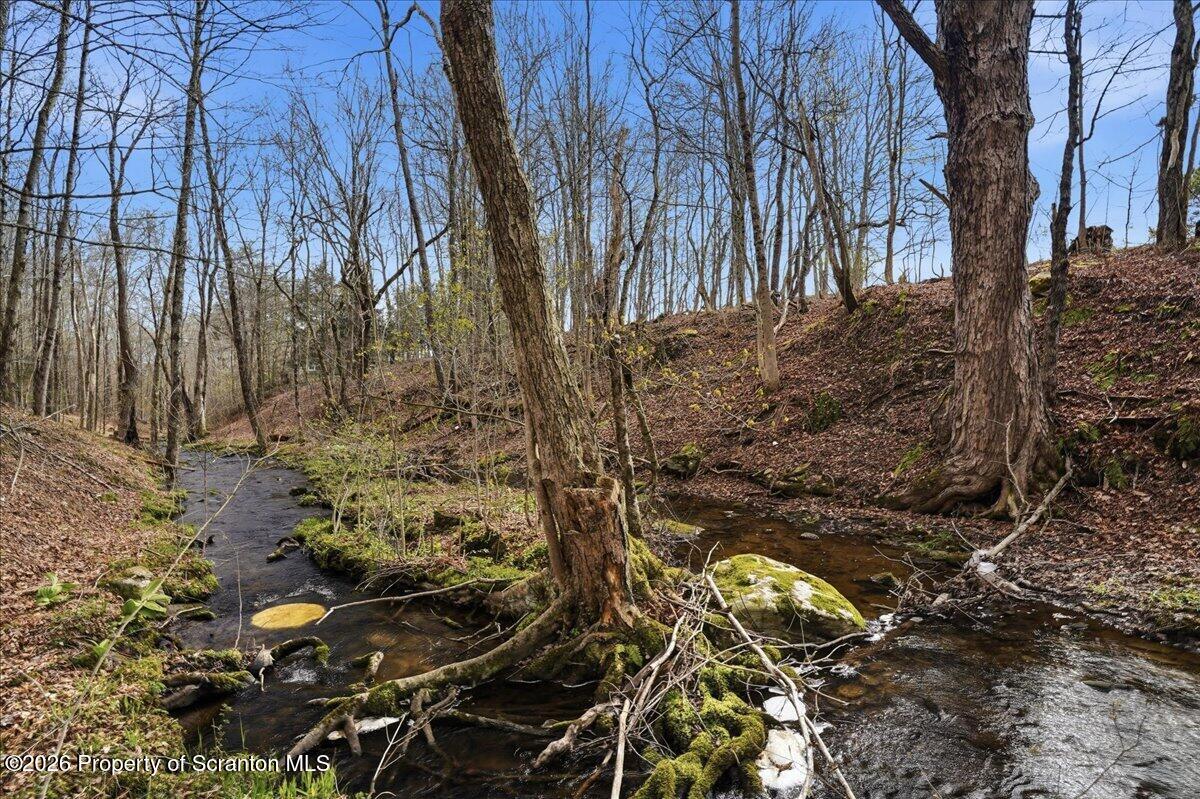 1140 Ball Pond Road Thompson, PA 18465 - Photo 27 of 68 a backyard of a house