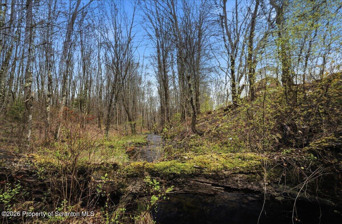 1140 Ball Pond Road Thompson, PA 18465 - Photo 28 of 68 Stream