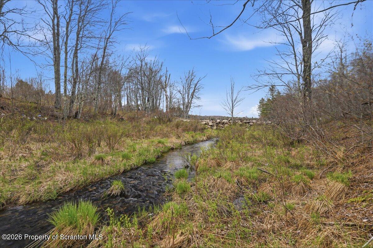 1140 Ball Pond Road Thompson, PA 18465 - Photo 29 of 68 a view of a yard with large trees