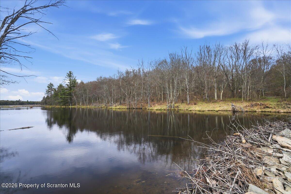 1140 Ball Pond Road Thompson, PA 18465 - Photo 31 of 68 a view of a lake view with mountain in the background