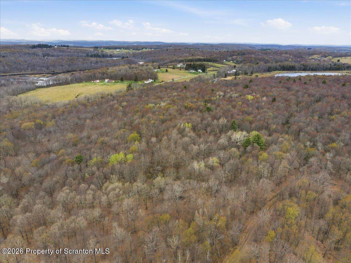 1140 Ball Pond Road Thompson, PA 18465 - Photo 35 of 68 a view of an outdoor space and a lake view