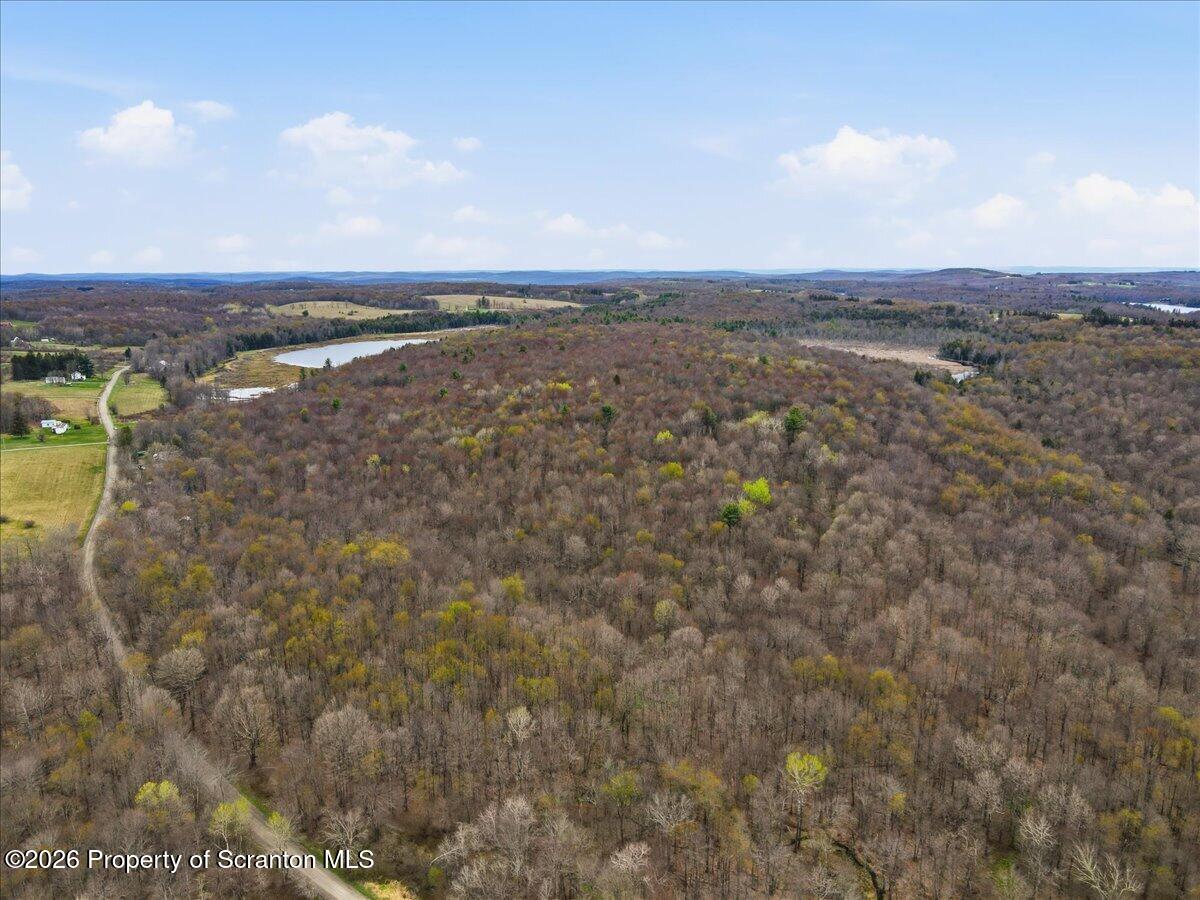 1140 Ball Pond Road Thompson, PA 18465 - Photo 37 of 68 Aerial View