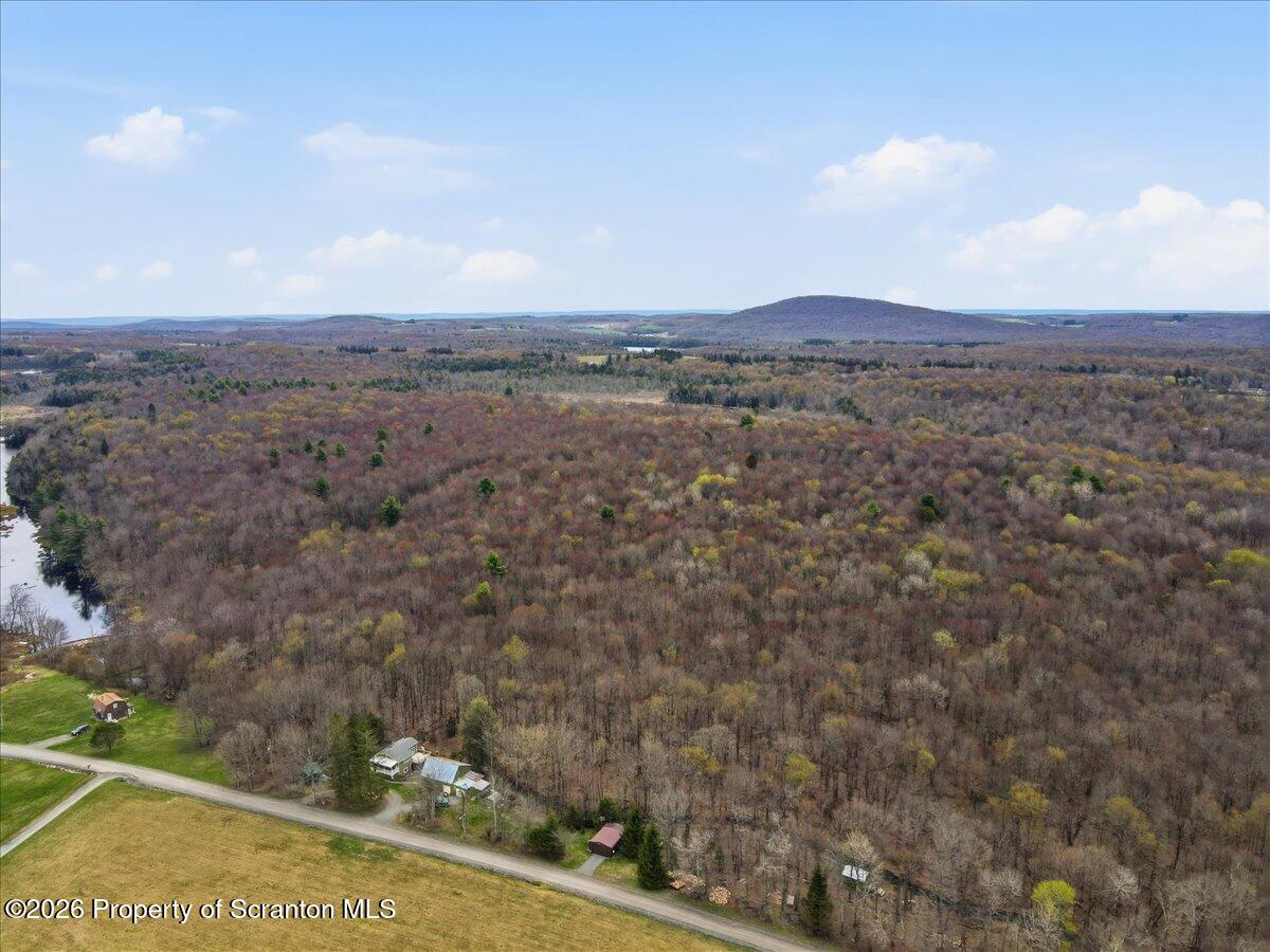 1140 Ball Pond Road Thompson, PA 18465 - Photo 39 of 68 a view of a city with lush green forest