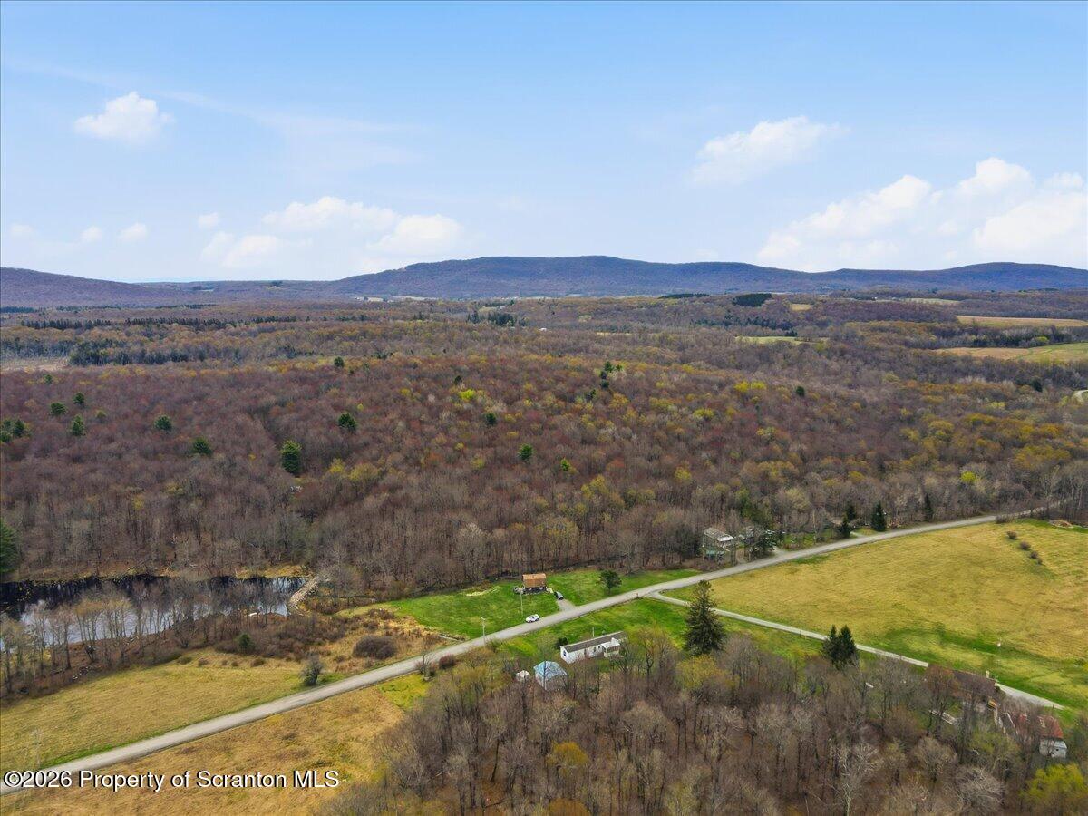 1140 Ball Pond Road Thompson, PA 18465 - Photo 40 of 68 Aerial View