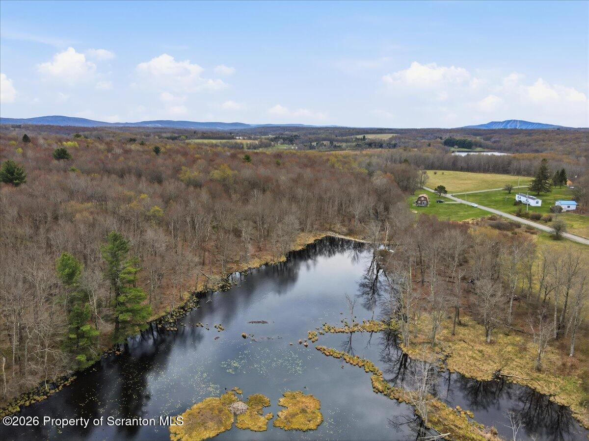 1140 Ball Pond Road Thompson, PA 18465 - Photo 44 of 68 a view of a lake with a mountain