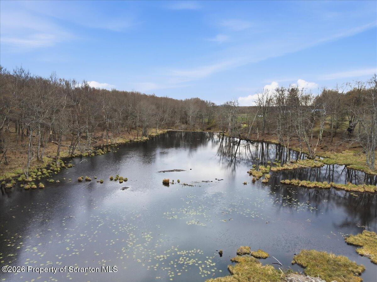 1140 Ball Pond Road Thompson, PA 18465 - Photo 45 of 68 a view of a lake with a mountain in the background