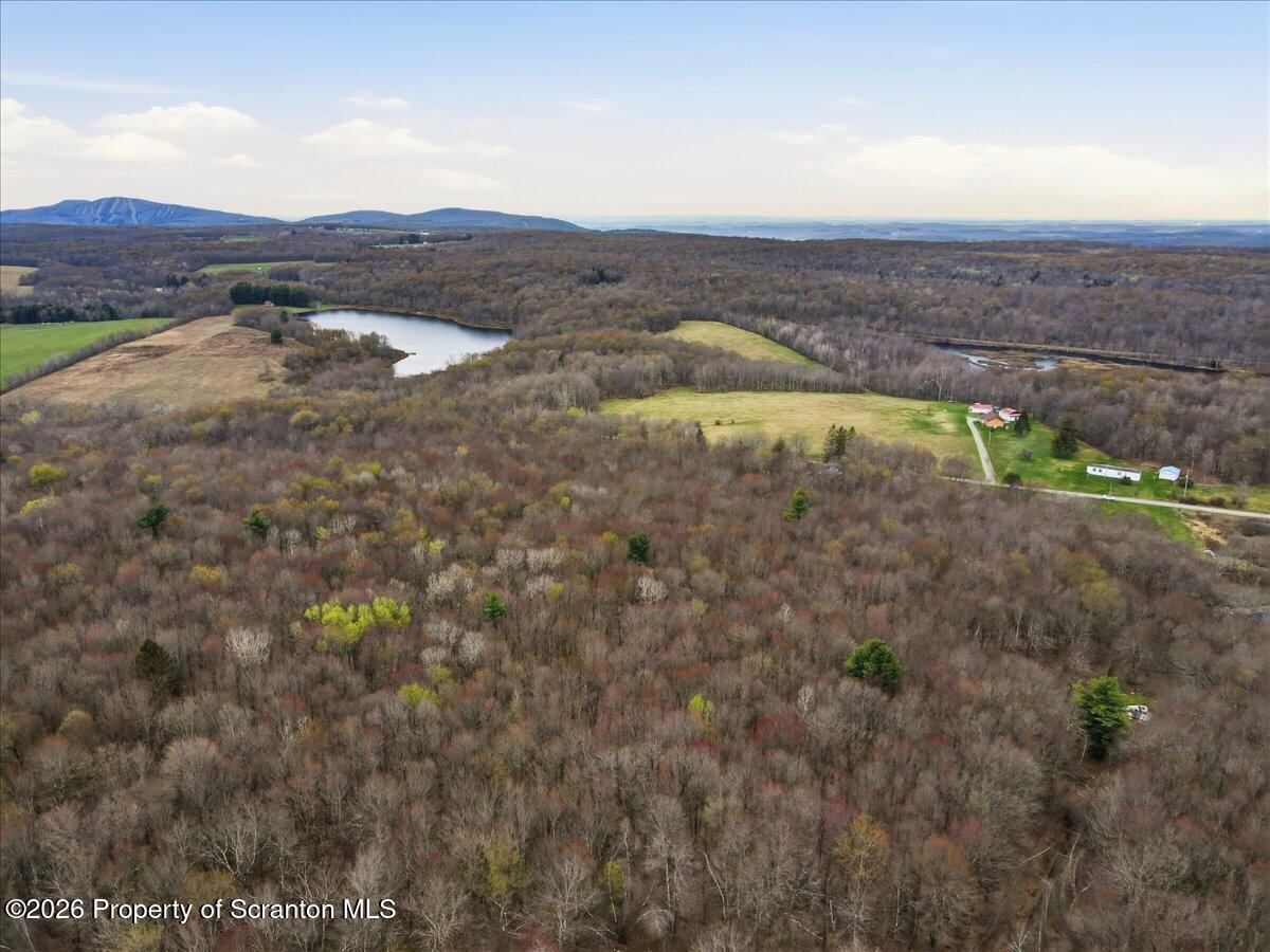 1140 Ball Pond Road Thompson, PA 18465 - Photo 5 of 68 a view of ocean view and mountain view