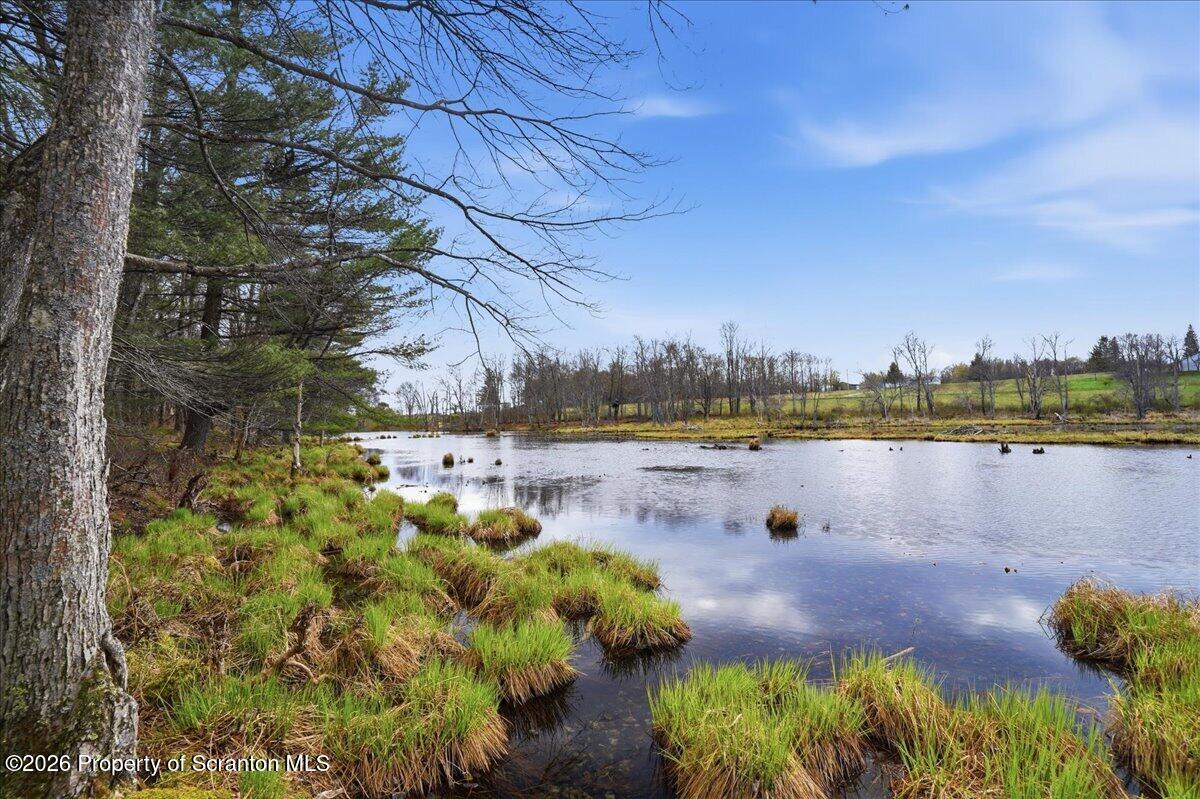 1140 Ball Pond Road Thompson, PA 18465 - Photo 6 of 68 a view of a lake with houses in the back